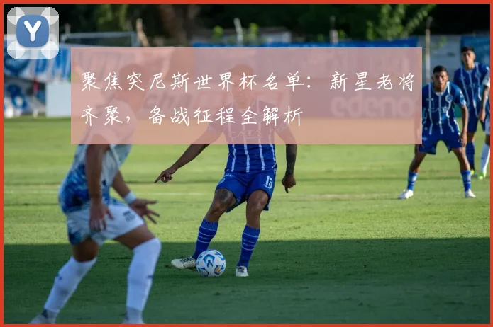 聚焦突尼斯世界杯名单:新星老将齐聚,备战征程全解析
